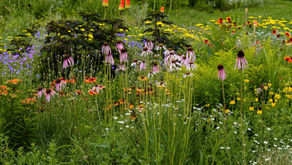 How To Build A Low Maintenance Garden That Thrives Year-Round