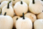 Snowball Pumpkins - fall décor and cooking essential
