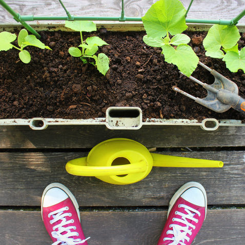 Vegetable Container Gardening: A How-To Guide for Beginners