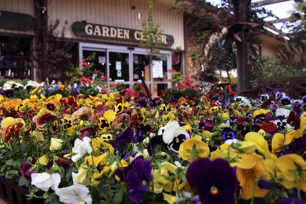 Bath Garden Center & Nursery in Fort Collins | 50 Years Growing