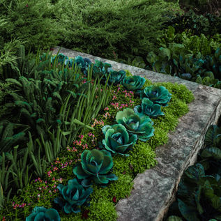 What is Edible Landscaping?