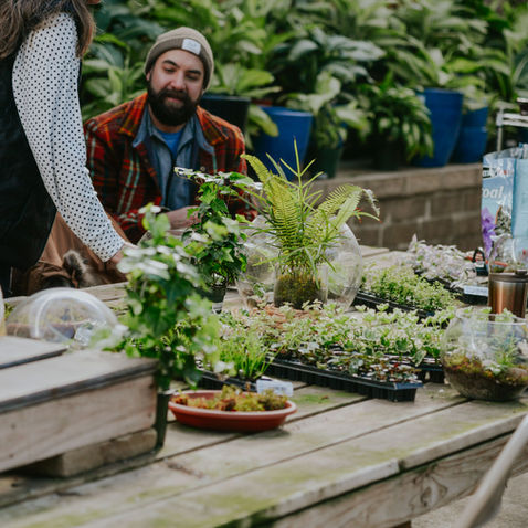 Gardening Classes at Bath Garden Center: How to Make a Terrarium