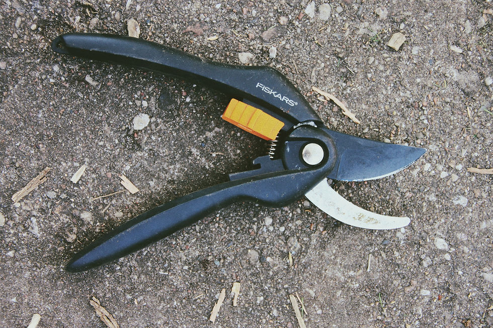 Pruning Shears and Loppers