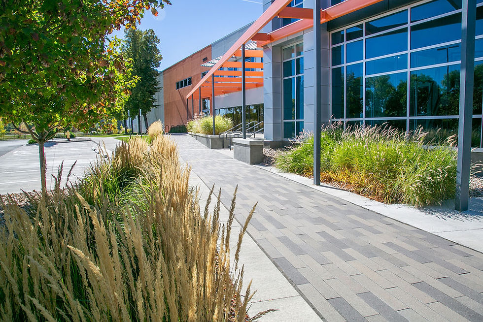 Commercial Landscape Design Trends For Fort Collins Businesses