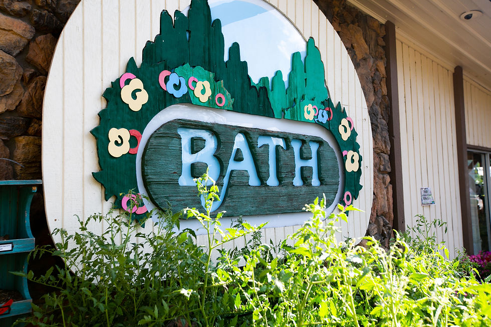 The Differences Between Greenhouse, Nursery, & Garden Center