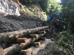 Groß (Holzkasten Sennwald).jpeg
