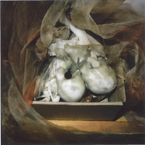 Ludovica Anversa_edited.jpg