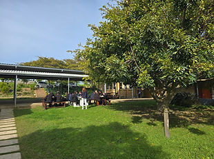 20250808_104325.jpg