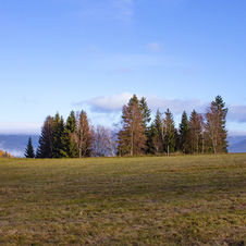 IMG_7808xy_web.jpg