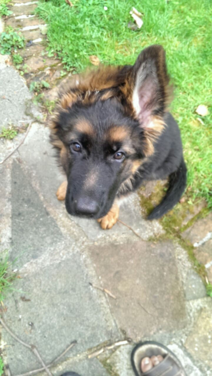 IMAG0378.jpg