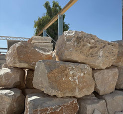 WhatsApp Image 2025-11-05 at 12.06.30 PM (1).jpeg