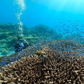 【ゼログラヴィティでのアクティビティー風景3】