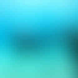 シュノーケリング