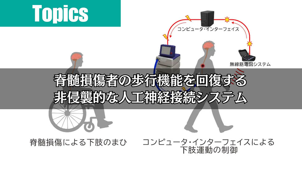脊髄損傷者の歩行機能を回復する非侵襲的な人工神経接続システム