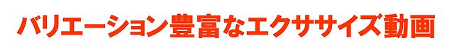 バリエーション豊富なエクササイズ動画