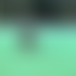 車いすラグビー