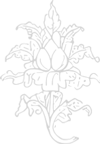 aru motif