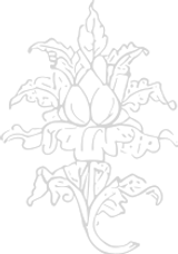 aru motif