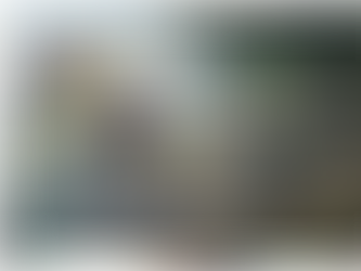 My Unexpected Discovery Inside a 100-Year-Old Antique Store in Germany