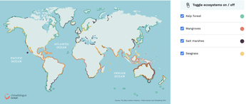 Carbono azul: o que é e como influencia na mitigação das mudanças climáticas
