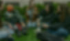 Students chat while sitting in the grass on Columbia's campus.