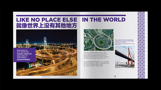 NYU_Booklet_Spread_1.jpg
