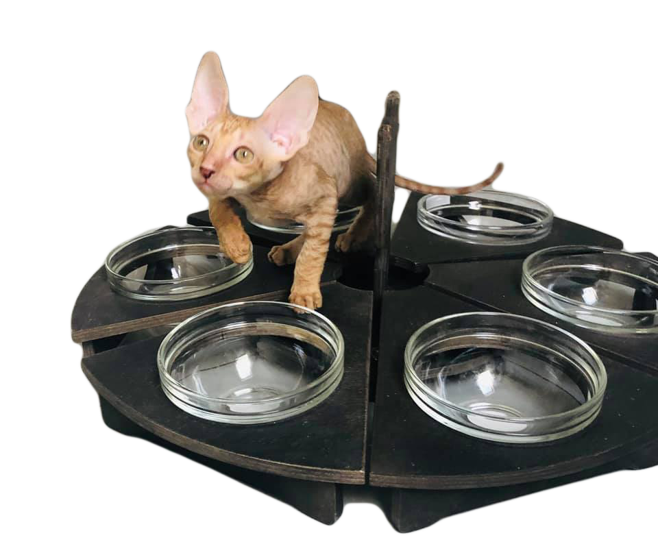 Миниатюра: Dining table "Friendly family"