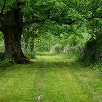 allee de best photo_edited.jpg