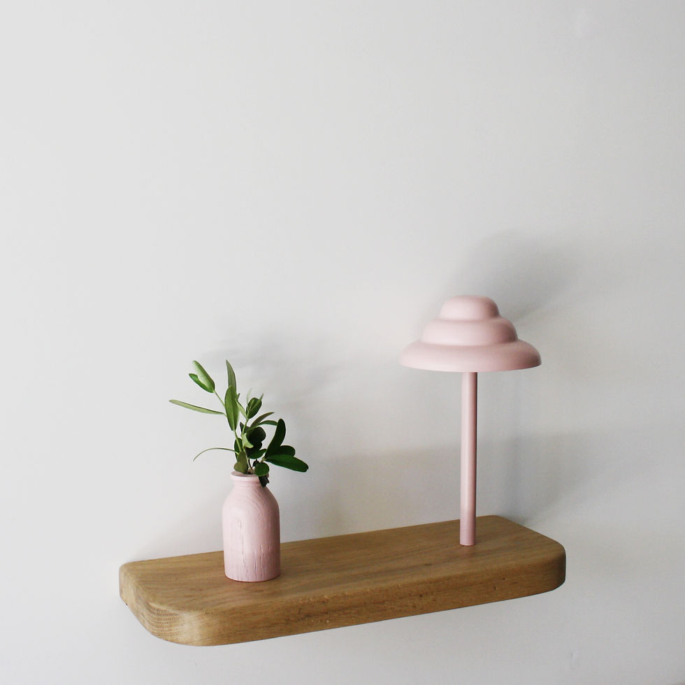 תמונה ממוזערת: ARTIK L Shelf and lamp