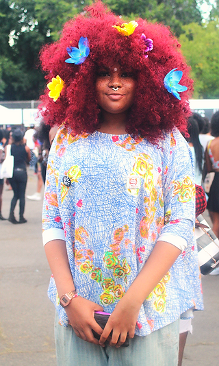 Afropunk Festival, Brooklyn, 2015