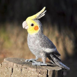 羊毛フェルト オカメインコ 1/1サイズ オカメインコ ノーマル