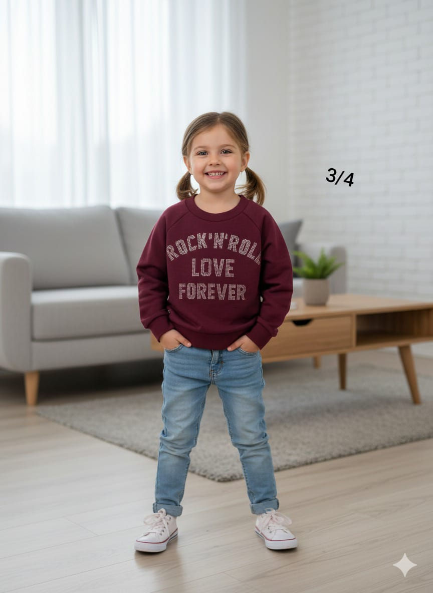 Premium sweartshirt with sequence embroidary