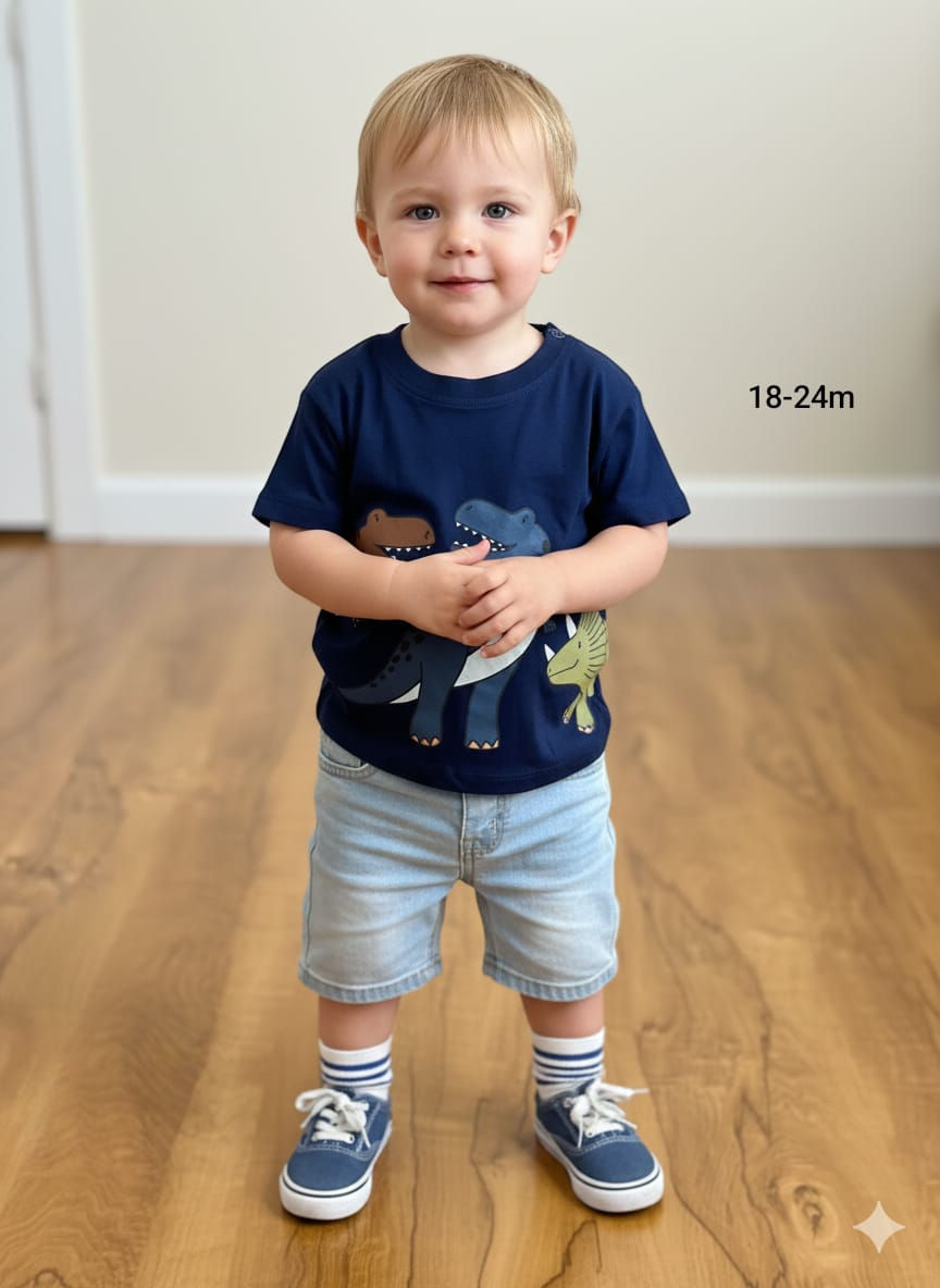 Boy baby imported tshirt