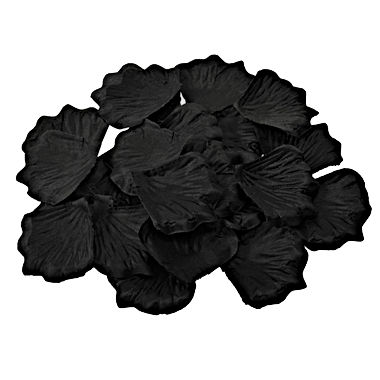61skWoGaCFL._SL1500_.jpg