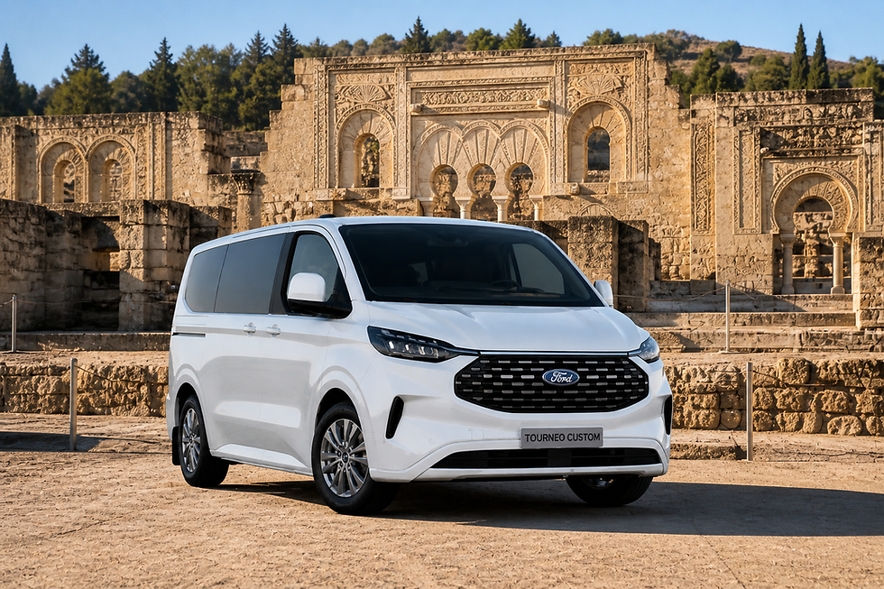 MINIVAN MEDINA AZAHARA