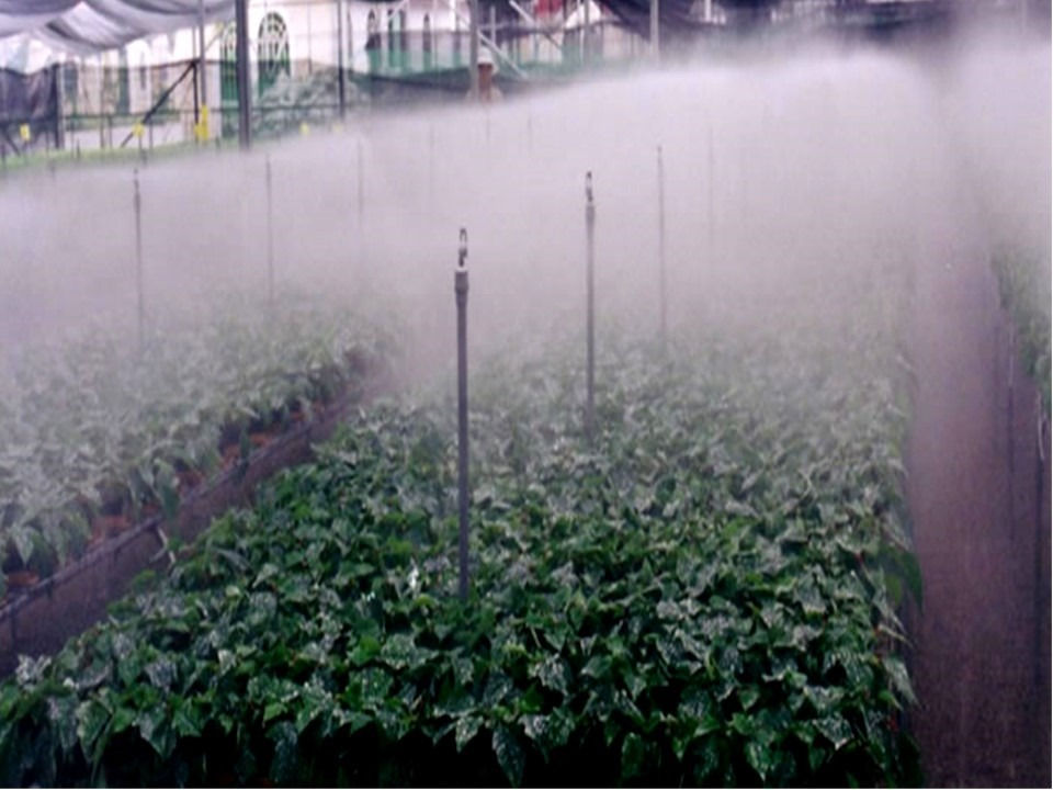 Riego por Nebulizacion