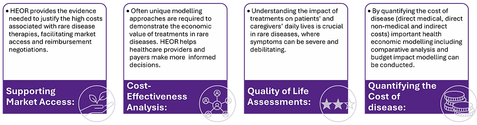 Health Economics in Rare Disease