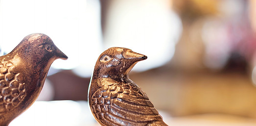 Vögel