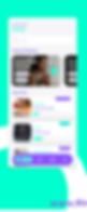 RIMMON MARTIN CONSULTING DISPLAY OF APPS 2.png