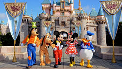 DISNEY & PARKS