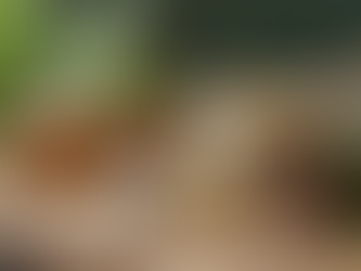 Kjøp Ketagon for stressmestring på Midnattssol Apotek