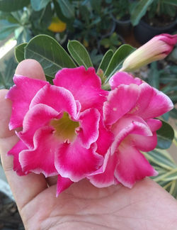 WhatsApp Image 2023-01-03 at 19.38.55