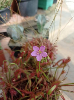 WhatsApp Image 2023-01-11 at 14.34.40