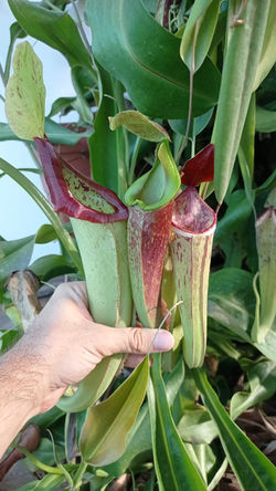 WhatsApp Image 2023-01-11 at 14.33.55 (3)