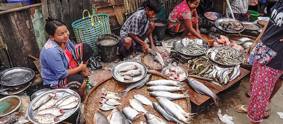 Our first week in Myanmar