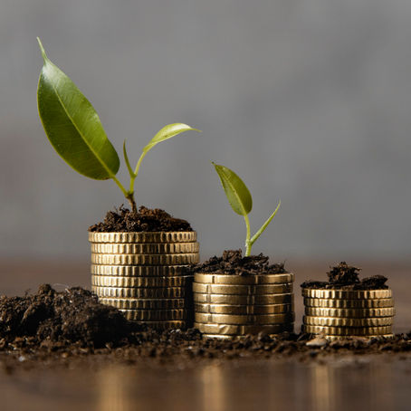 What Are The Different Calculators in The Best Mutual Fund Software in India?
