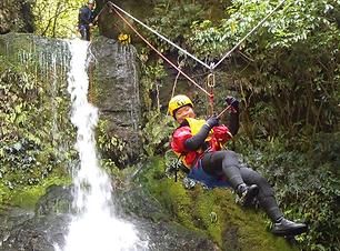 Tui_Zipline.png