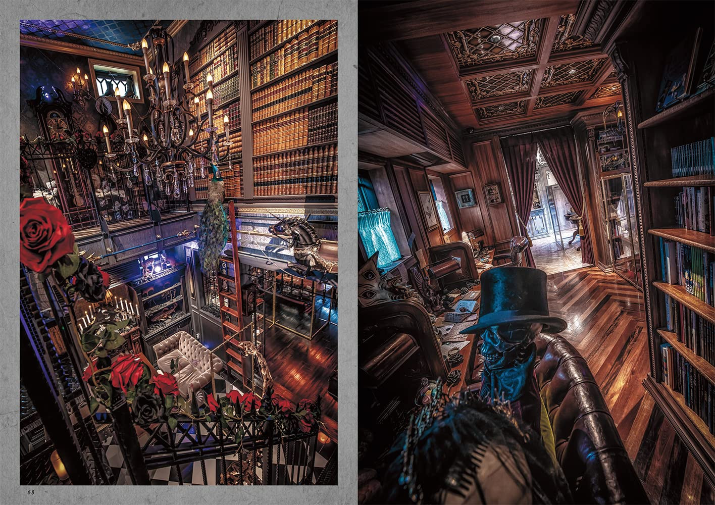 Contra capa do livro