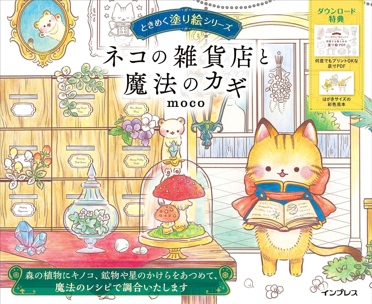 The Cat's General Store and the Magical Key