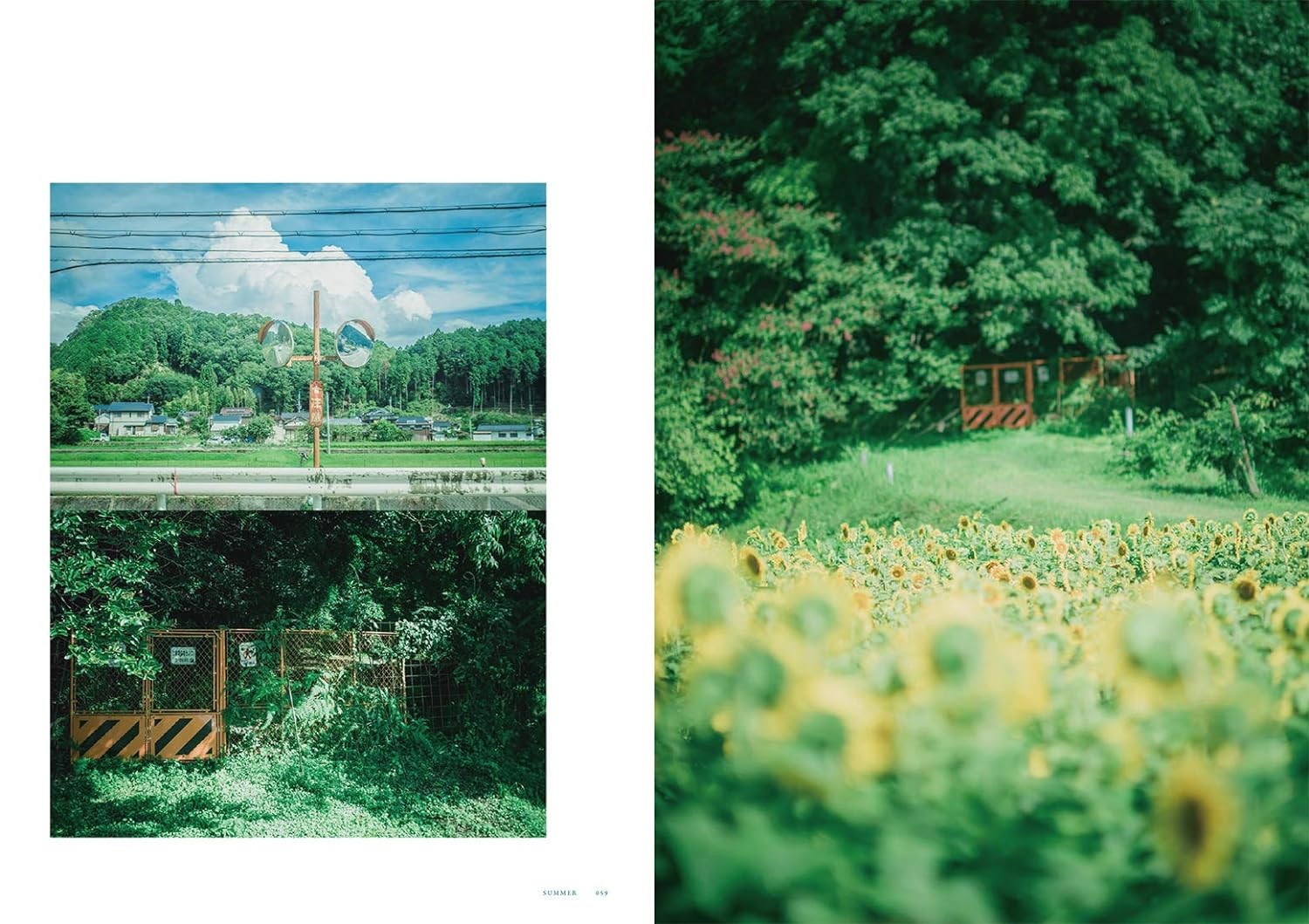 Conteúdo do livro 3